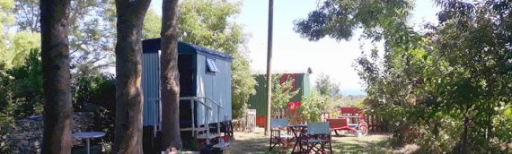 Traditional shepherd huts in the heart of the Isle of Purbeck