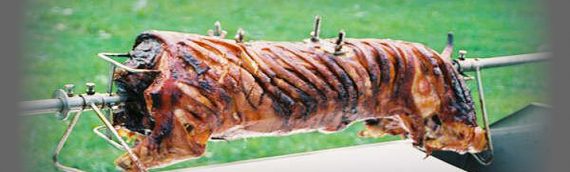 Catering, Hog Roasts, Cold Buffets, BBQ’s, Furniture Hire and more!