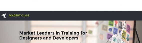 Learn How to Use WordPress and Make Great Looking Websites in only 2 days!