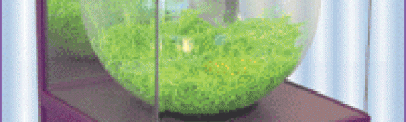 STUFF-IT balloon inflator