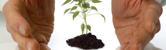 Accelerate your business growth!