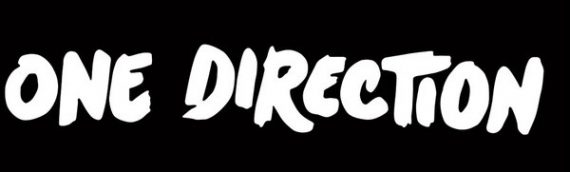 One Direction Signed Framed Piece