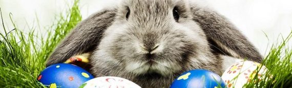 EASTER RAFFLE – in aid of Dorset Blind Association