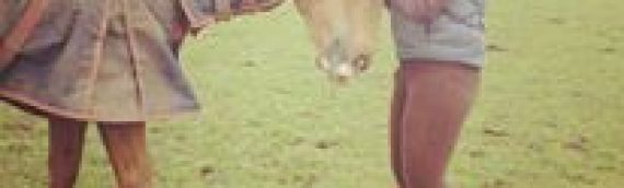 People and Horses Massages