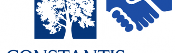 Constantis – Professional Business Advisory Service