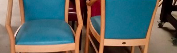 New manuela solid bentwood beech framed chairs