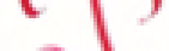 Credit Vetting, Debt Collection, Litigation