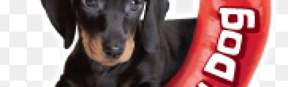 Add some spice in your life!