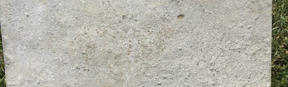 Porcelain Tiles @ £15 per meter