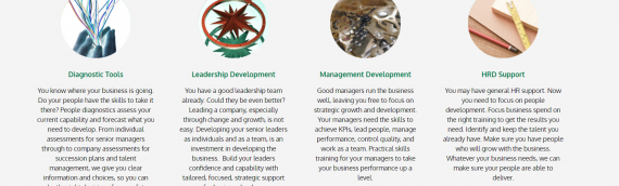 Business Support Services that can unleash your company potential