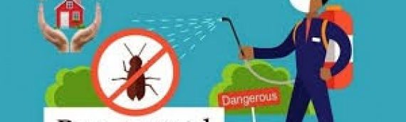 Domestic & Commercial Pest Control on BBX