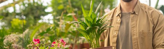 Specialist plant growers at Middleton Nurseries