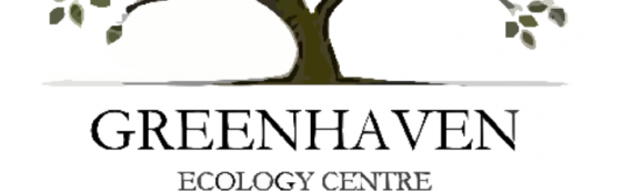 Providing Business Development, Health and Fitness Retreat Packages