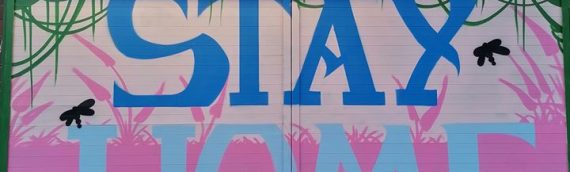 Graffiti Art Services From Walls By Squidge