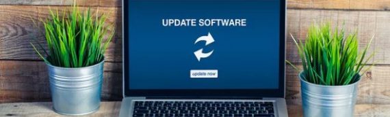 Bringing the human element to software solutions, training and projects