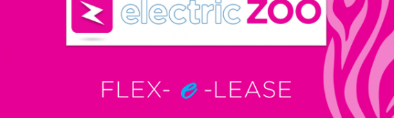 Are you ready to go electric by 2030? Flex – E – Lease