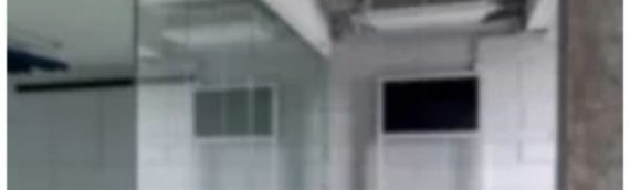 Premium Zoom backdrops