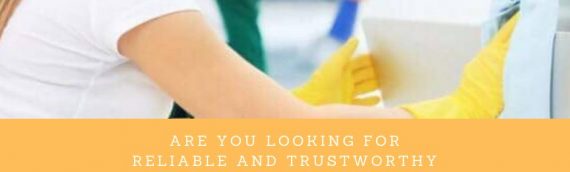 Providing Commercial Cleaning Services And One Off Domestic Cleaning Services In London.