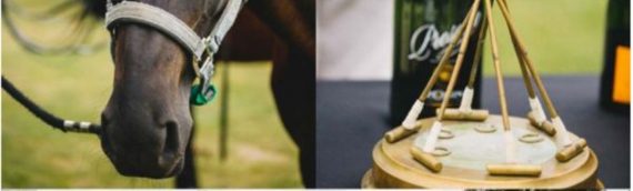 Only One Table for 10 People Remains For The Asia Polo Event This Friday!