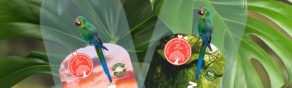 Hydrate with Water from The Amazon