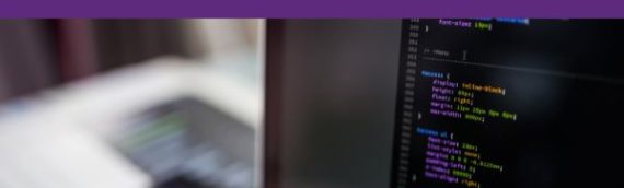 This our Tech Friend Enterprise Support Service with Passport entry level security service.