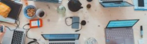 Do you need engaging content? Frankcontent can provide multilingual content for your business