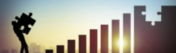 Accountancy, Finance Directors and Coaching from Zamu; It’s more of an ethos!