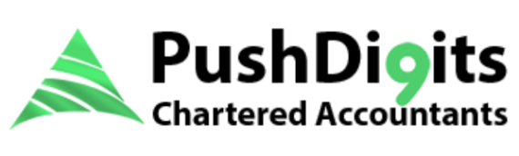 Push Digits – Chartered Accountants