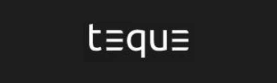 Teque – Custom made software development and services that cater to every business need.
