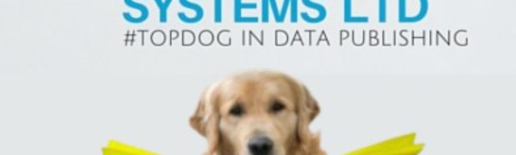 How would you like to share and market your data, products or services more professionally?