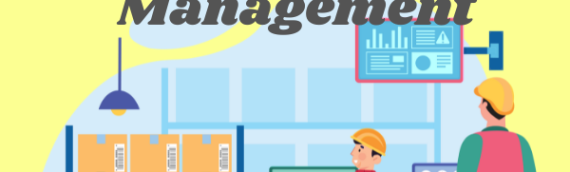 LDWorkflows Warehouse Management – Optimise, Track & Ship with Ease!