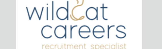Wildcat Careers – Professional Recruitment, HR and Career Services for you!