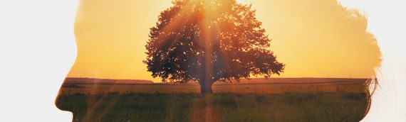 The Happy Ever After Coach: Reclaim your health & happiness